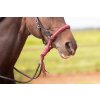 8.9500.21 EDIX bridle ED3 Rose IMG 3523