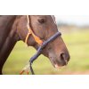 8.9500.21 EDIX bridle ED3 Rose IMG 3546
