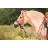 8.9500.21 EDIX bridle ED3 Rose IMG 0994
