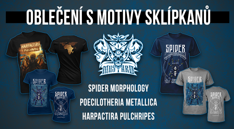 800x441 - Oblečení s motivy sklípkanů