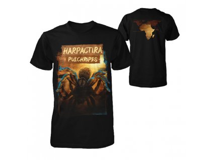 mens shirt