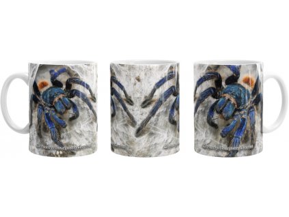 hrnek mustard 04 2021 nahled