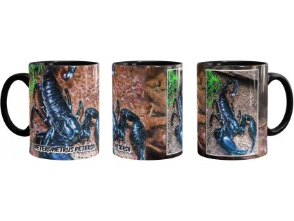 hrnek mustard 10 2021 8x