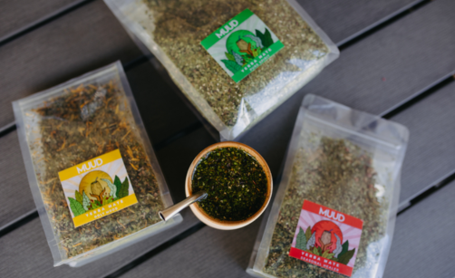 Yerba Maté a trávení: Přírodní cesta ke zdravému zažívání