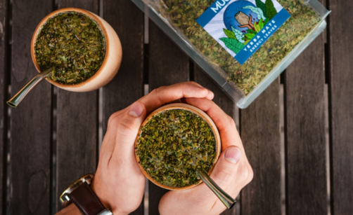 Jak správně připravit Yerba Maté: Kompletní průvodce přípravou