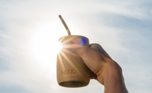 Proč je Vitamín D považován za přírodní lék na deprese?