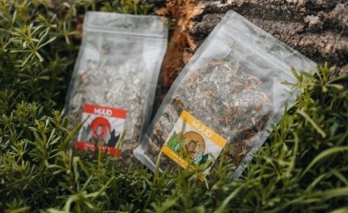 Vše, co potřebujete vědět o Yerba Maté: Přírodní energie na celý den