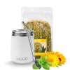 Basic Set Yerba Mate s Ocelovou kalabasou