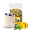 Basic Set Yerba Mate s Ocelovou kalabasou