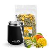 Basic Set Yerba Mate s Ocelovou kalabasou