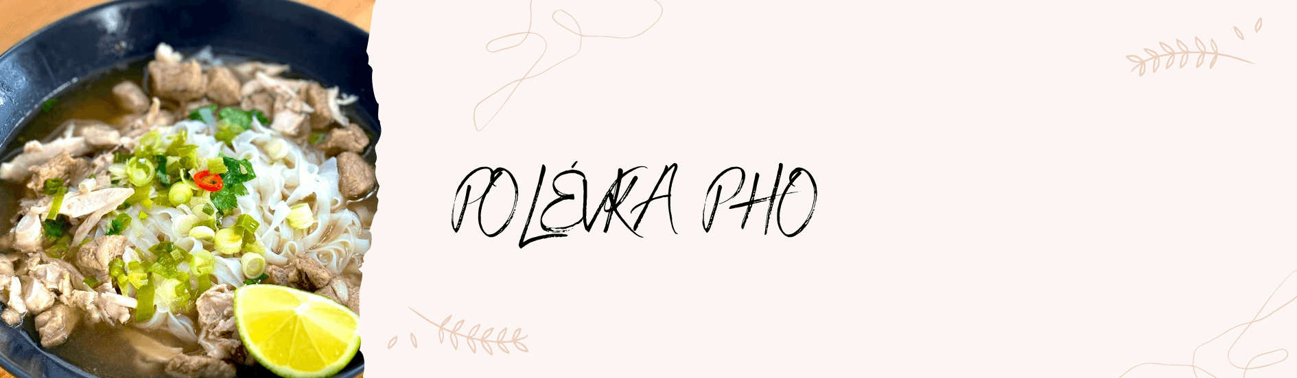 Polévka Pho