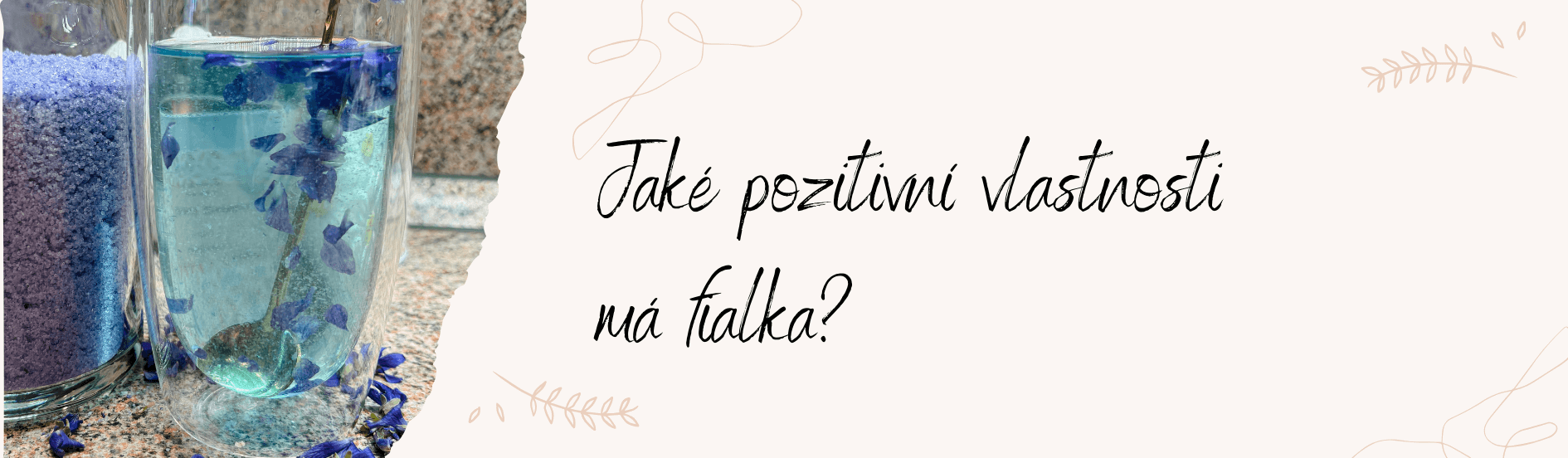 💜Jaké pozitivní vlastnosti má fialka?💜