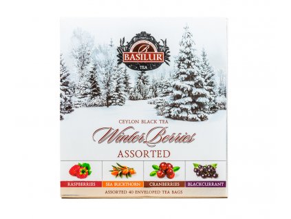 BASILUR Winter Berries Assorted přebal 40 gastro sáčků
