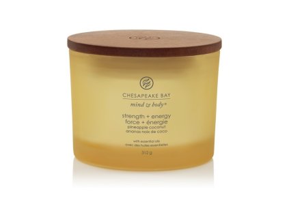 VONNÁ SVÍČKA CHESAPEAKE BAY CANDLE STRENGTH & ENERGY 3 KNOTY