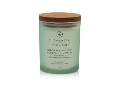 Snímek obrazovky 2025 07 22 131700