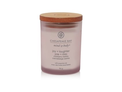 VONNÁ SVÍČKA CHESAPEAKE BAY CANDLE JOY & LAUGHTER MALÁ