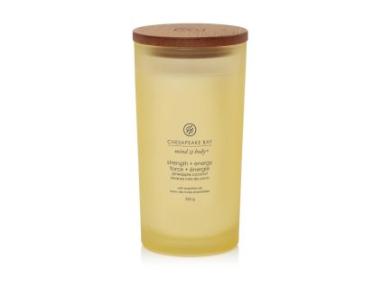 VONNÁ SVÍČKA CHESAPEAKE BAY CANDLE STRENGTH & ENERGY VELKÁ