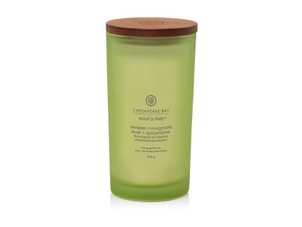 VONNÁ SVÍČKA CHESAPEAKE BAY CANDLE AWAKEN & INVIGORATE VELKÁ