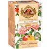 BASILUR 9/23 Fruit Wild Rose přebal 25x2g
