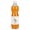 Kombucha zázvorová s meduňkou 500 ml BIO STEVIKOM