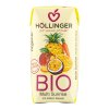 Nektar multi ovocný s mrkví 200 ml BIO HOLLINGER