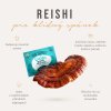 reishi mushroom elixir mix bio prasek
