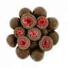 lyofilizovane maliny v mlecne cokolade 250 g img glmml%C4%8D250 fd 99