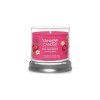 Vonná svíčka YANKEE CANDLE RED RASPBERRY SIGNATURE TUMBLER MALÝ