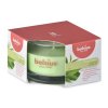 Bolsius Aromatic 2.0 Vonná svíčka ve skle, 80x50mm, Lavender, Mango, Vanilla, Oud wood, Green Tea, Apple Cinammon