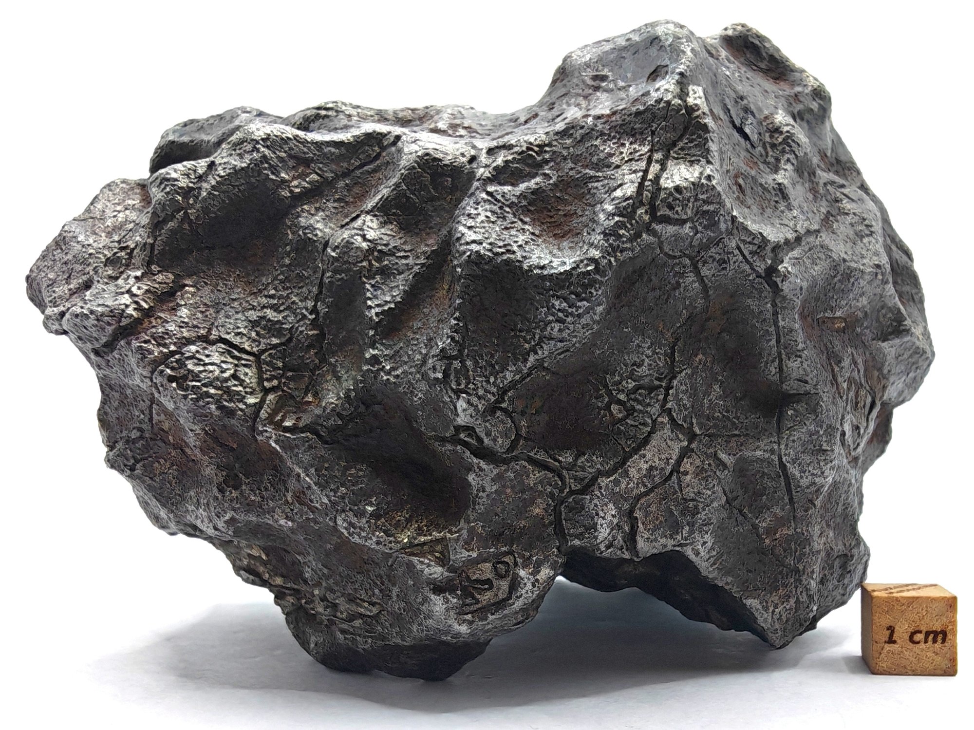 Novinky v muzeu a eshopu