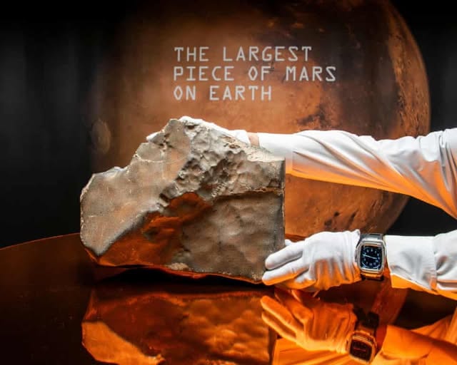 519648194_1380192080776029_5633362218055069736_n