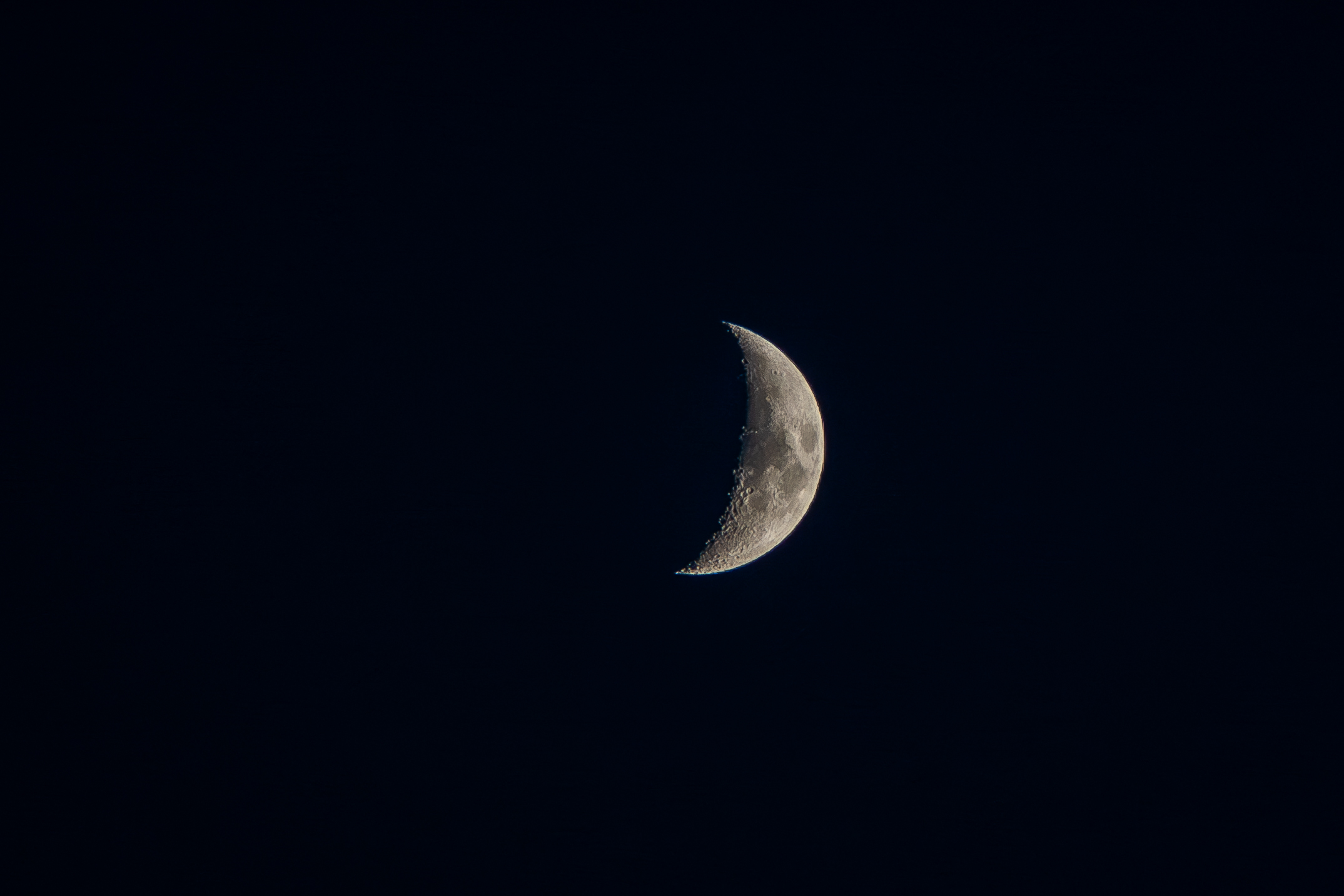 DSC03941-Enhanced-NR-11941