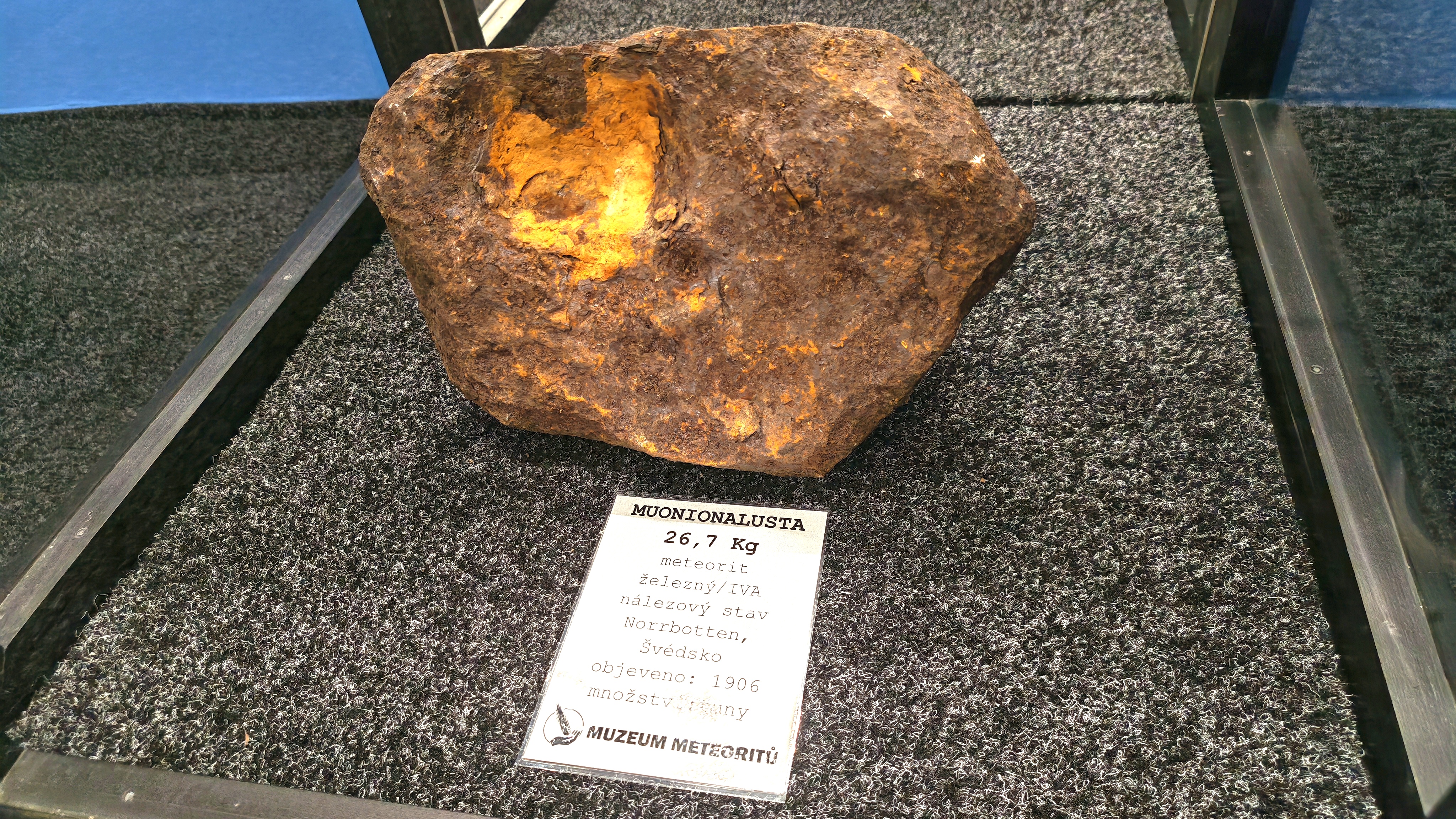 IMG_20260127_150548_edit_14186878036410