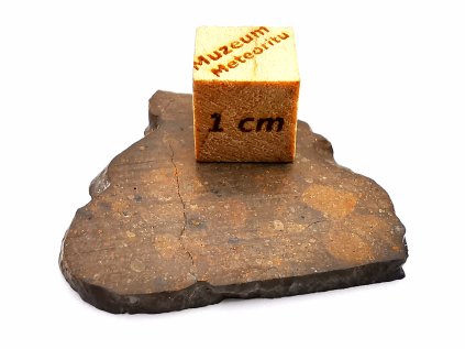 Meteorit NWA 17584 / Rumuruti R3-6 / 5 gr. / řez