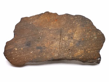 Meteorit NWA 17584 / Rumuruti R3-6 / 4,3 gr. / řez