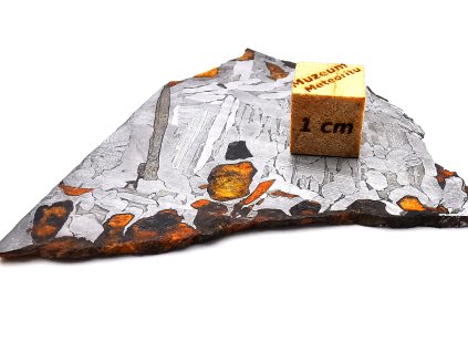 Aukce #181 / Meteorit Seymchan 24,7 gr. / řez