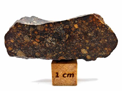 Meteorit NWA X (L3) 15,9 g / koncový řez