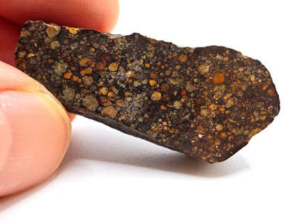 Meteorit NWA X (L3) 15,3 g / koncový řez