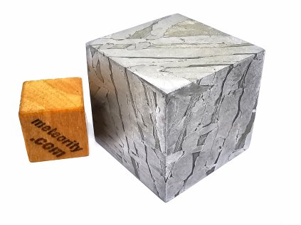 Meteorit Seymchan / 55,5g / řez