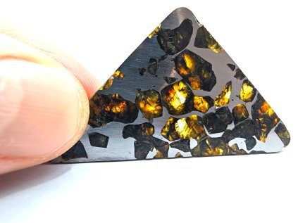 Meteorit Seymchan 7,6 g / řez