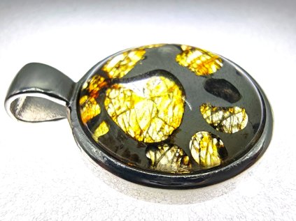 Přívěsek meteorit Pallasit / Ø22mm