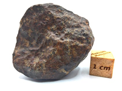 Meteorit NWA X 41,1 gr.