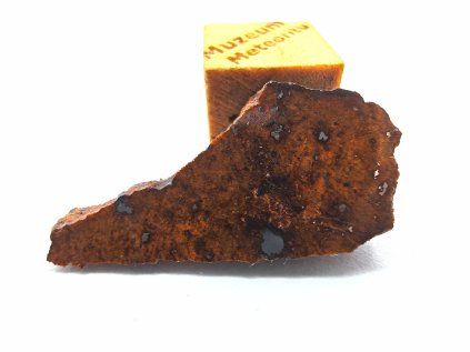 Meteorit NWA X 1,4 gr. / řez