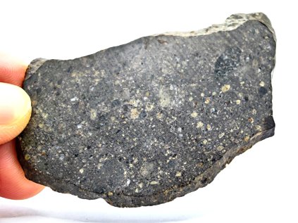 Meteorit NWA 17692 / Howardite / 17,9 g / řez