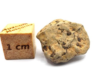 Marsovský meteorit Tarkint 001 / 3,34 gr.