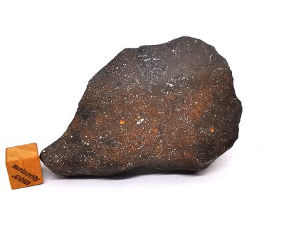 Meteorit NWA X 88,8g / koncový řez