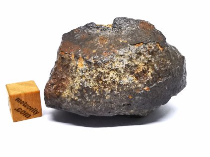 Meteorit NWA 869 / 63,9 gr.