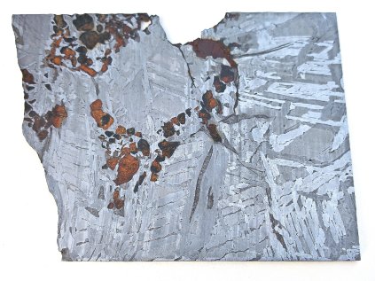 Meteorit Seymchan / Pallasit / 422g / řez