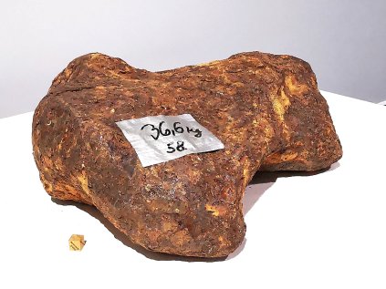 Meteorit Muonionalusta  36,6 kg