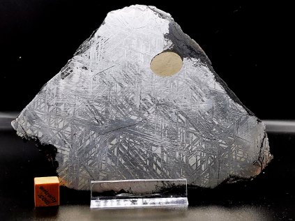 Meteorit Muonionalusta 838 gr. / koncový řez